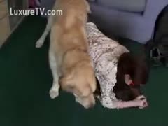 Willing cougar screws her friend s dog for specie